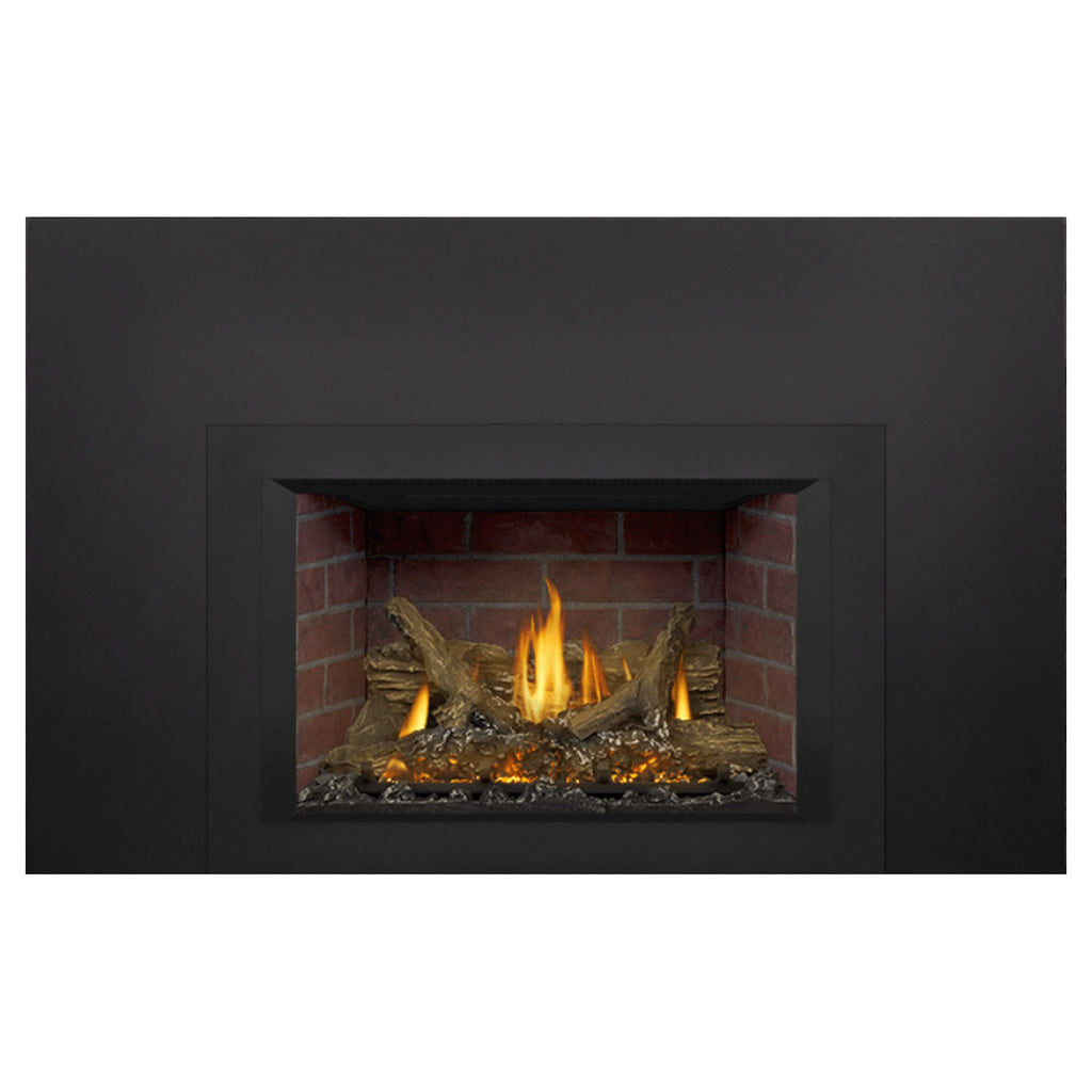 Napoleon GDIX3N-1 Oakville Series Electronic Ignition Direct Vent Gas Fireplace Insert