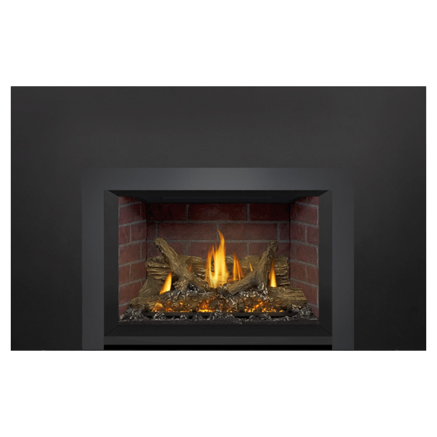 Napoleon GDIX3N-1 Oakville Series Electronic Ignition Direct Vent Gas Fireplace Insert