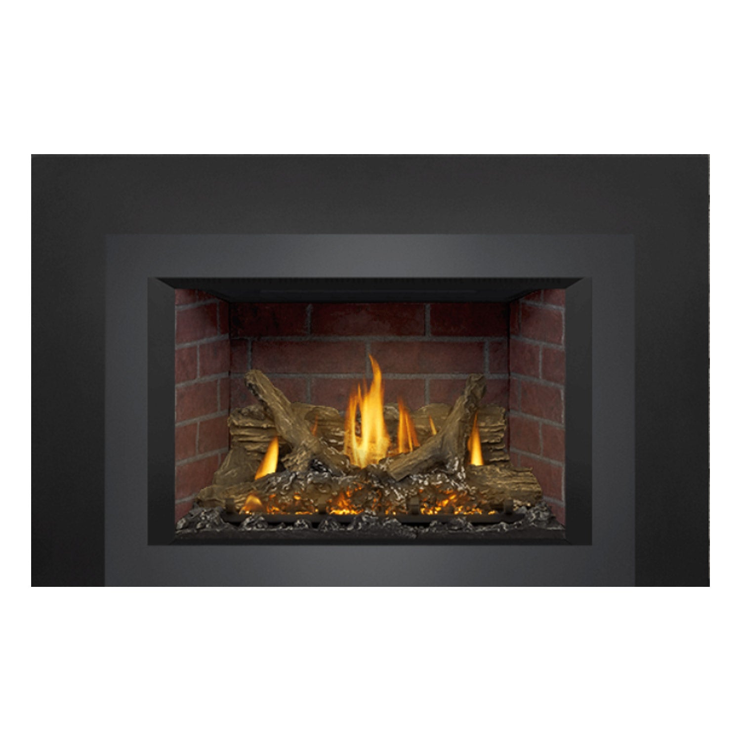 Napoleon GDIX3N-1 Oakville Series Electronic Ignition Direct Vent Gas Fireplace Insert