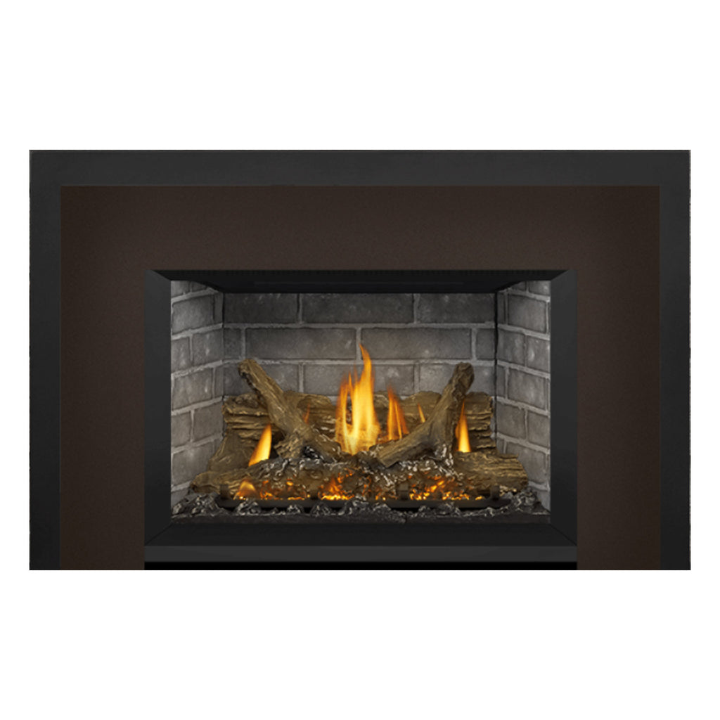 Napoleon GDIX3N-1 Oakville Series Electronic Ignition Direct Vent Gas Fireplace Insert