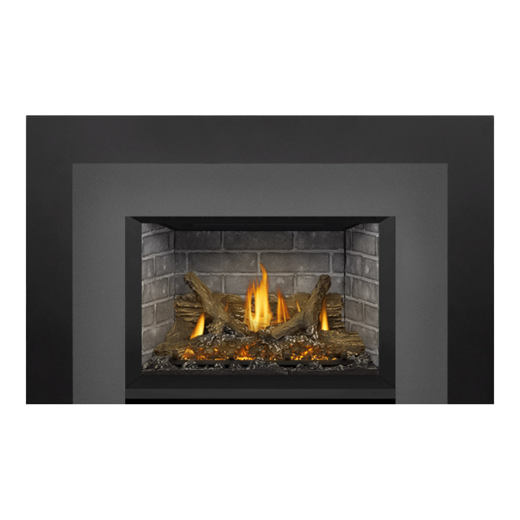 Napoleon GDIX3N-1 Oakville Series Electronic Ignition Direct Vent Gas Fireplace Insert