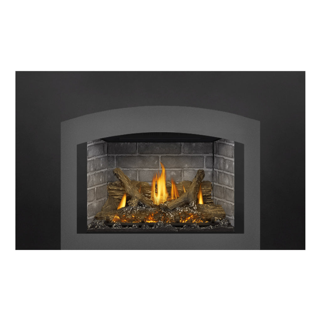 Napoleon GDIX3N-1 Oakville Series Electronic Ignition Direct Vent Gas Fireplace Insert