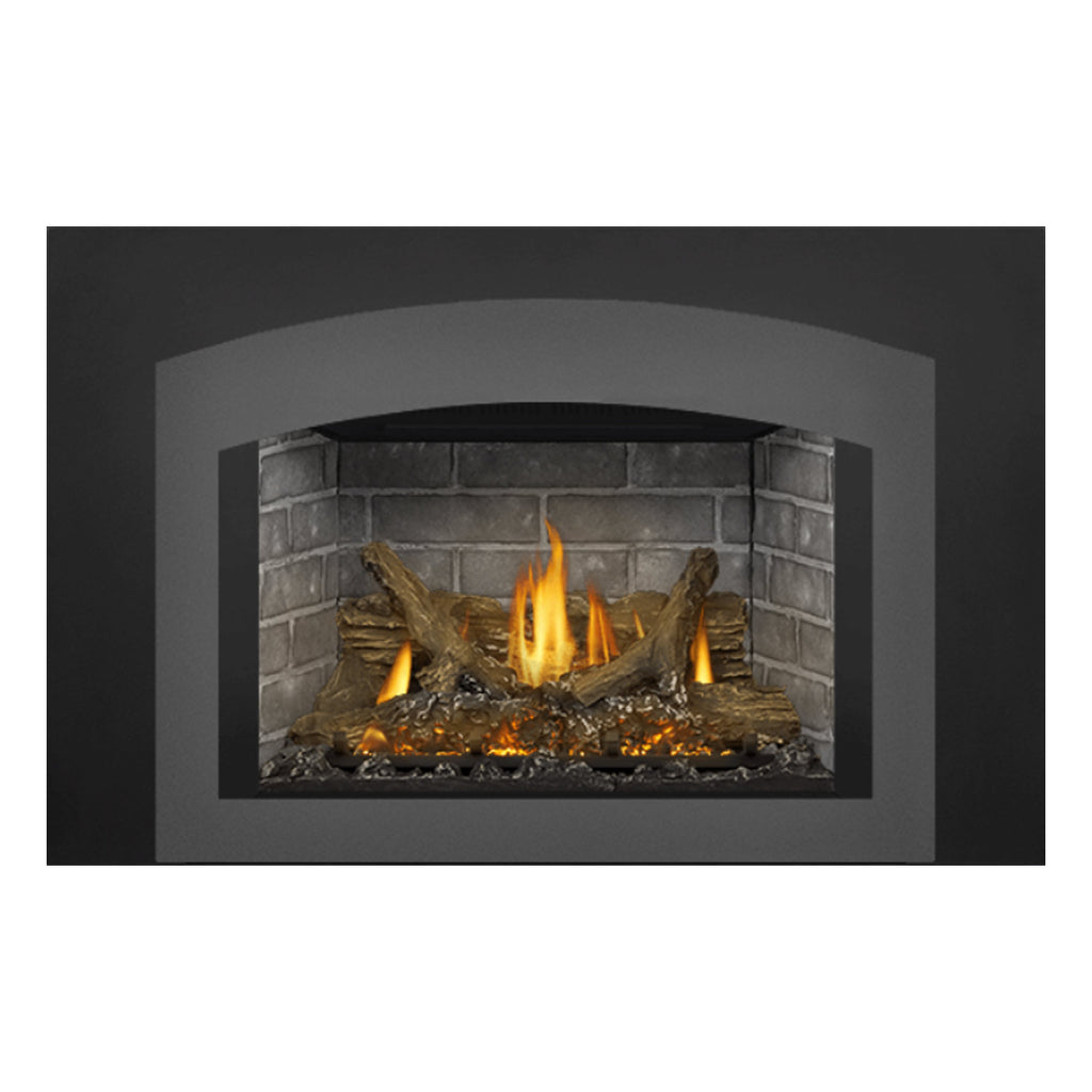 Napoleon GDIX3N-1 Oakville Series Electronic Ignition Direct Vent Gas Fireplace Insert