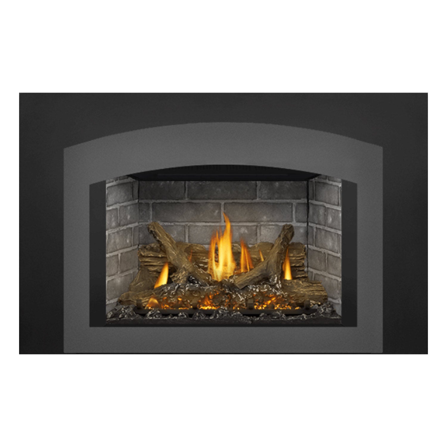 Napoleon GDIX3N-1 Oakville Series Electronic Ignition Direct Vent Gas Fireplace Insert