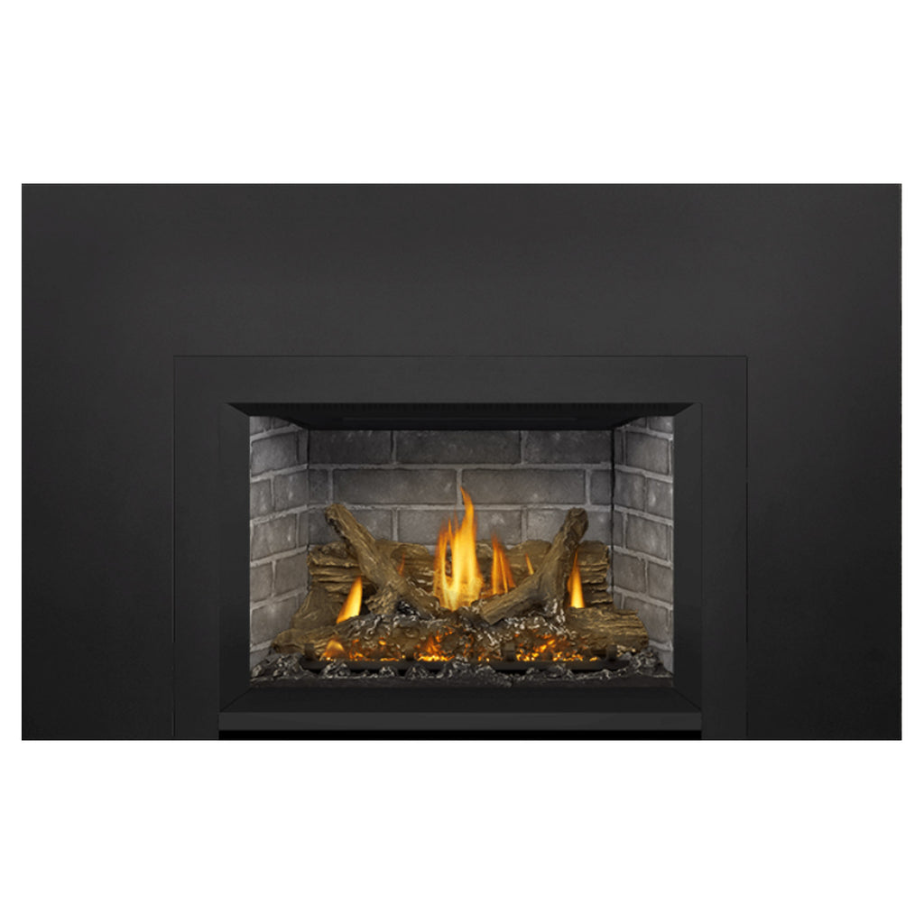 Napoleon GDIX3N-1 Oakville Series Electronic Ignition Direct Vent Gas Fireplace Insert
