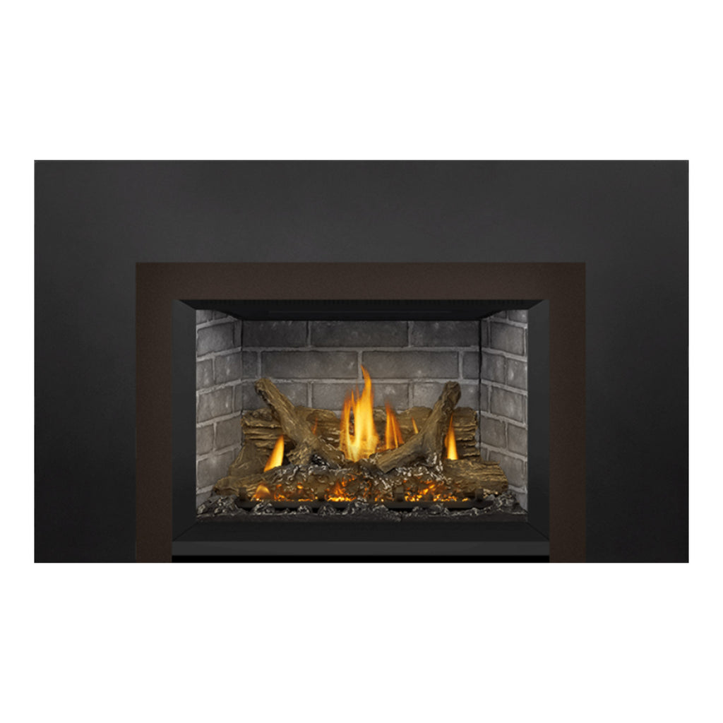 Napoleon GDIX3N-1 Oakville Series Electronic Ignition Direct Vent Gas Fireplace Insert