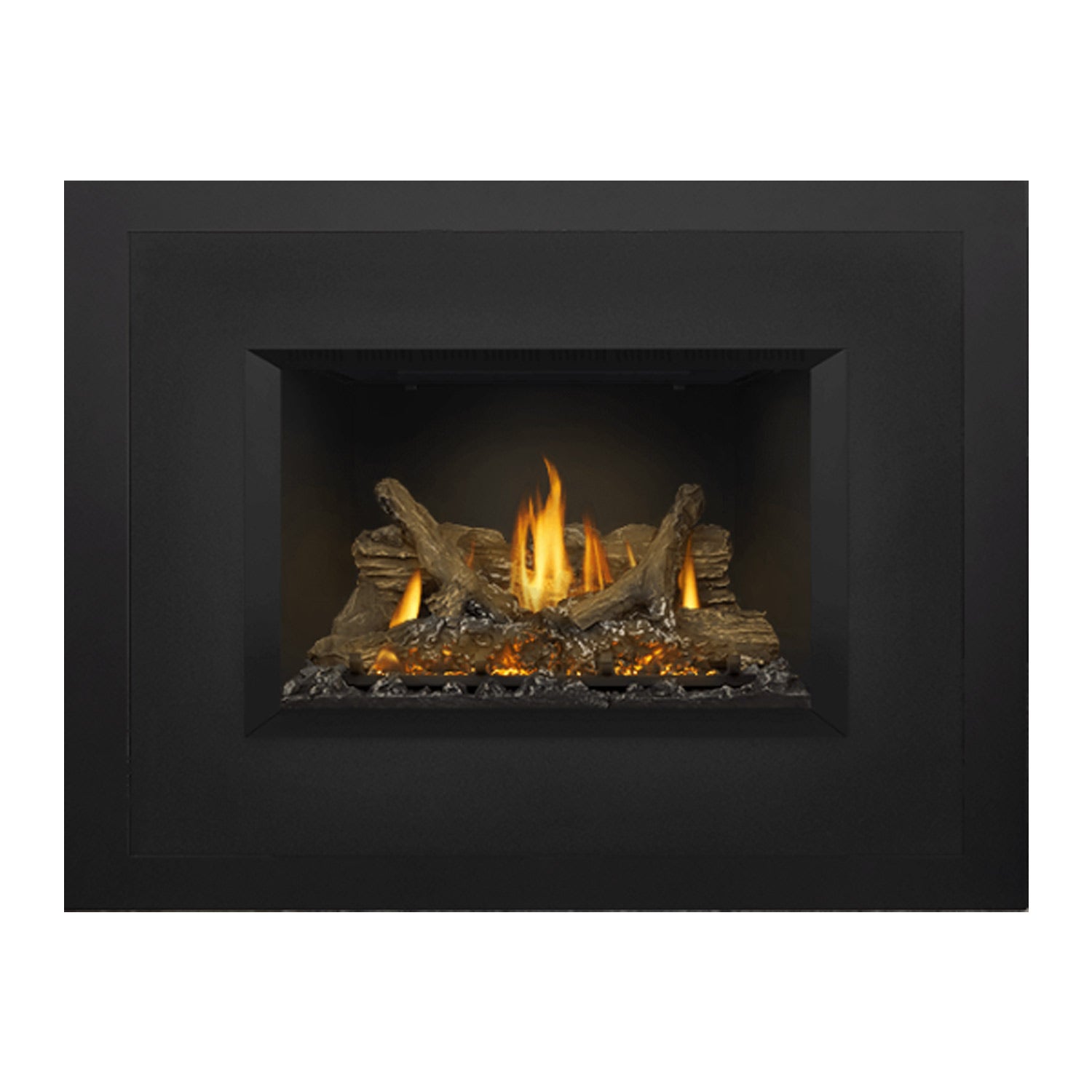 Napoleon GDIX3N-1 Oakville Series Electronic Ignition Direct Vent Gas Fireplace Insert