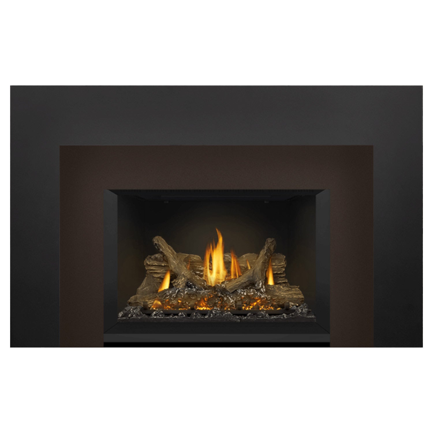 Napoleon GDIX3N-1 Oakville Series Electronic Ignition Direct Vent Gas Fireplace Insert
