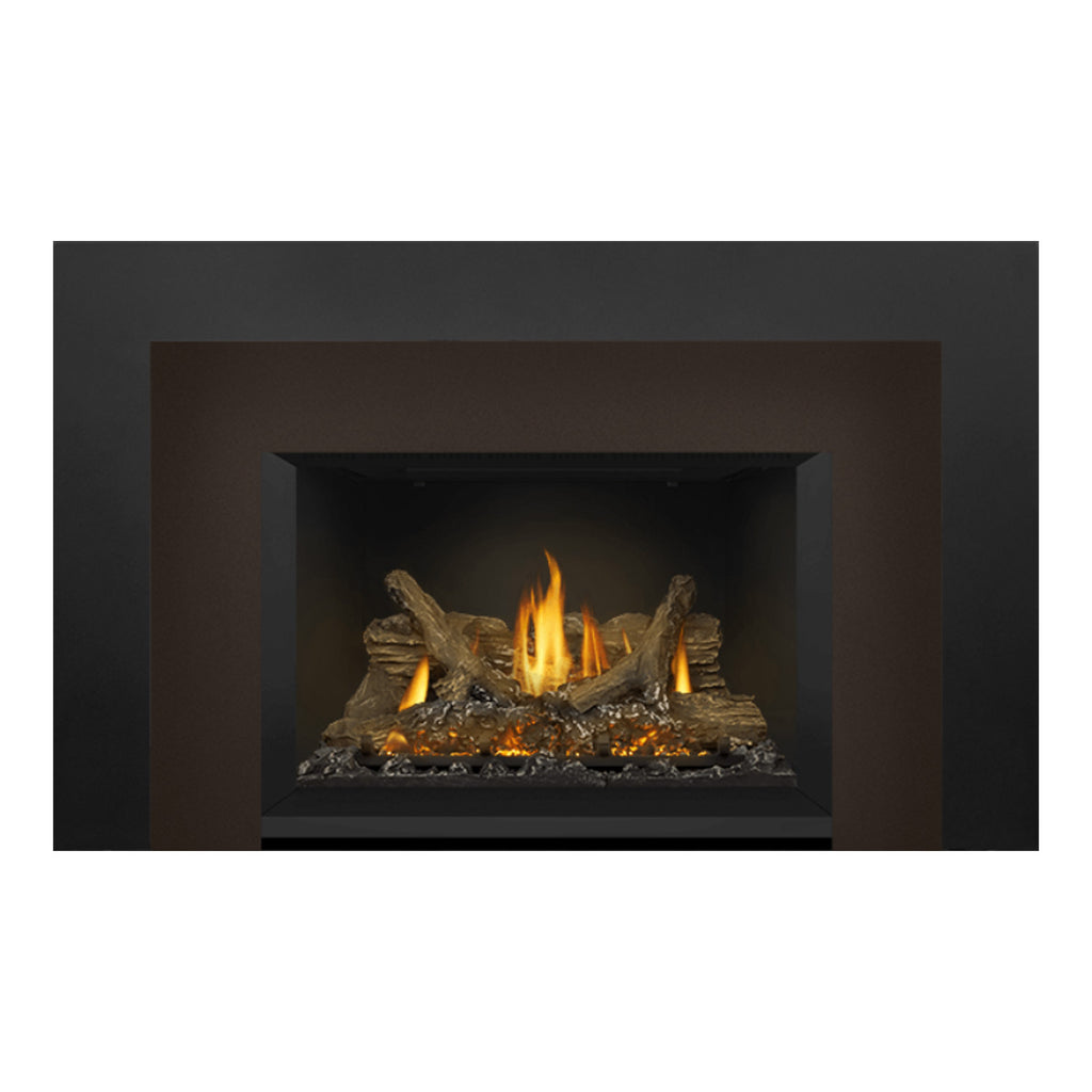 Napoleon GDIX3N-1 Oakville Series Electronic Ignition Direct Vent Gas Fireplace Insert