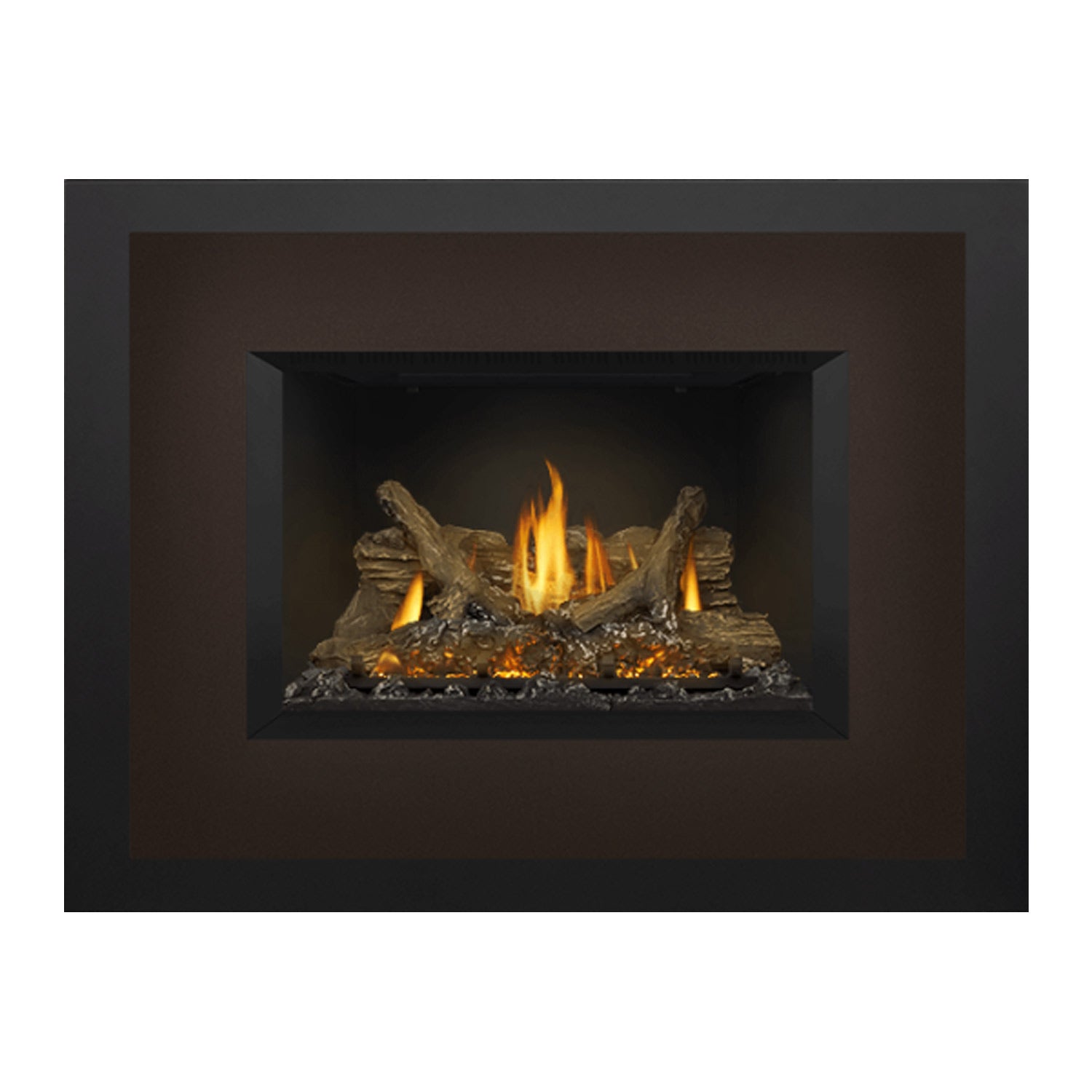 Napoleon Oakville Series EI Direct Vent Gas Fireplace Insert