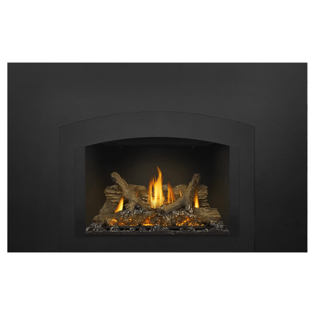 Napoleon GDIX3N-1 Oakville Series Electronic Ignition Direct Vent Gas Fireplace Insert