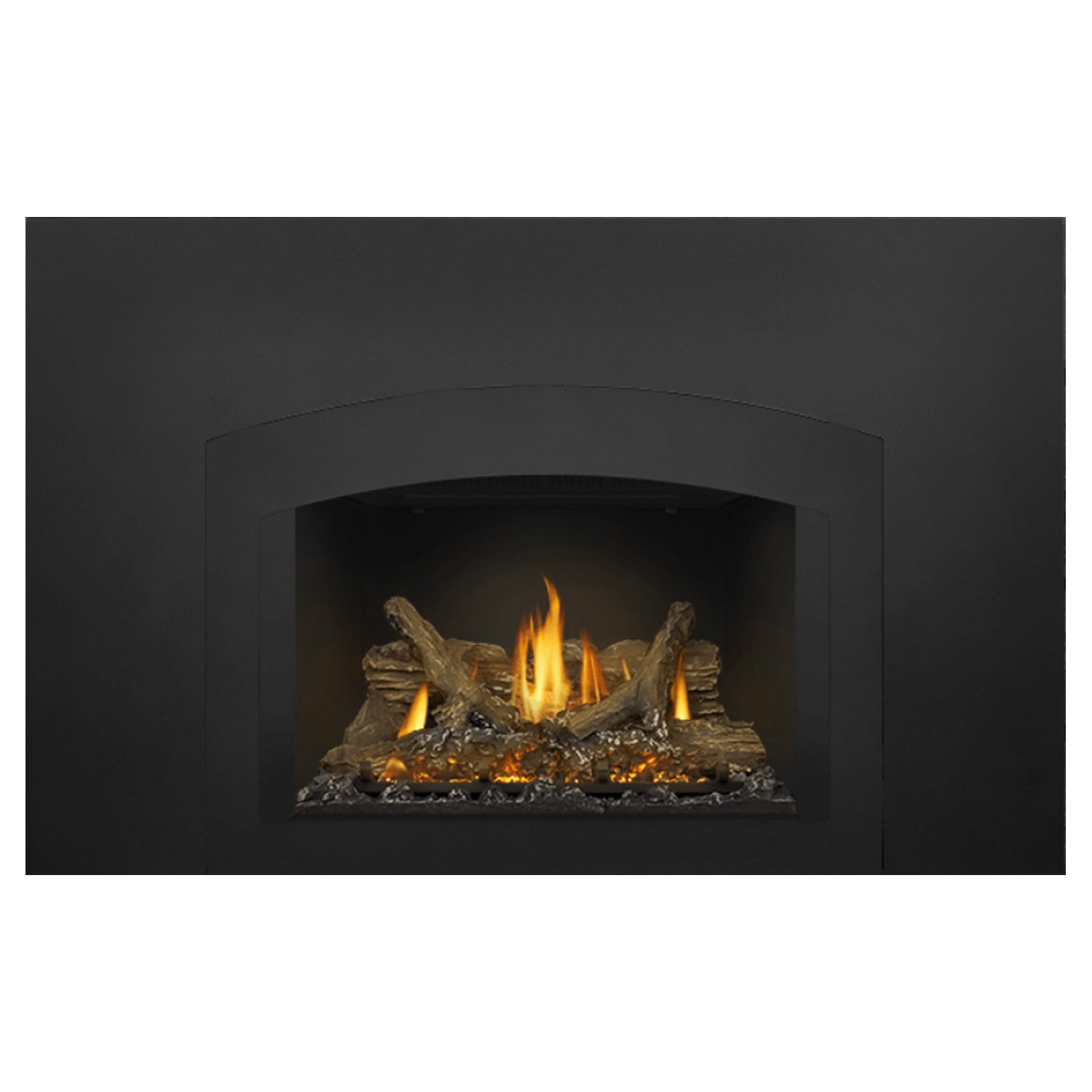 Napoleon GDIX3N-1 Oakville Series Electronic Ignition Direct Vent Gas Fireplace Insert