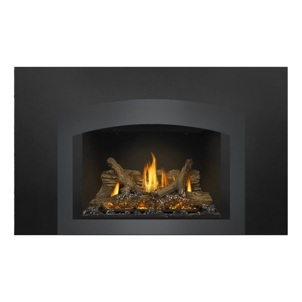 Napoleon GDIX3N-1 Oakville Series Electronic Ignition Direct Vent Gas Fireplace Insert