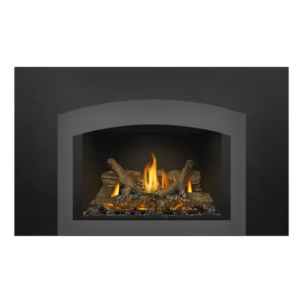 Napoleon GDIX3N-1 Oakville Series Electronic Ignition Direct Vent Gas Fireplace Insert