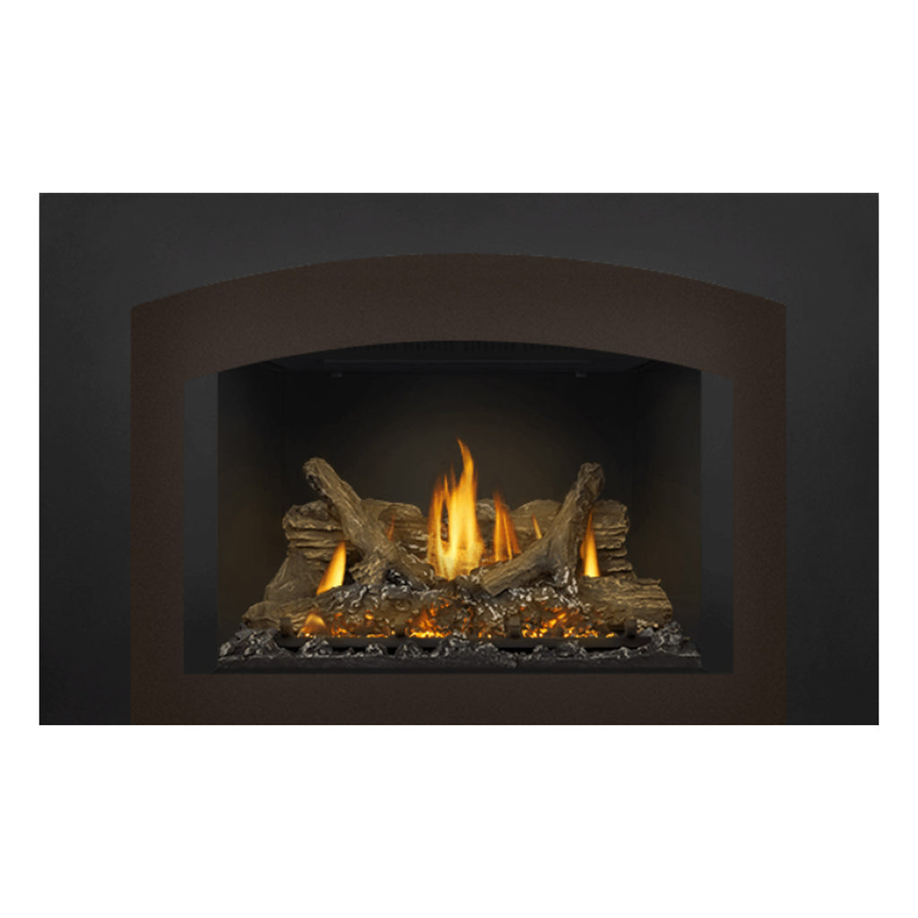 Napoleon GDIX3N-1 Oakville Series Electronic Ignition Direct Vent Gas Fireplace Insert