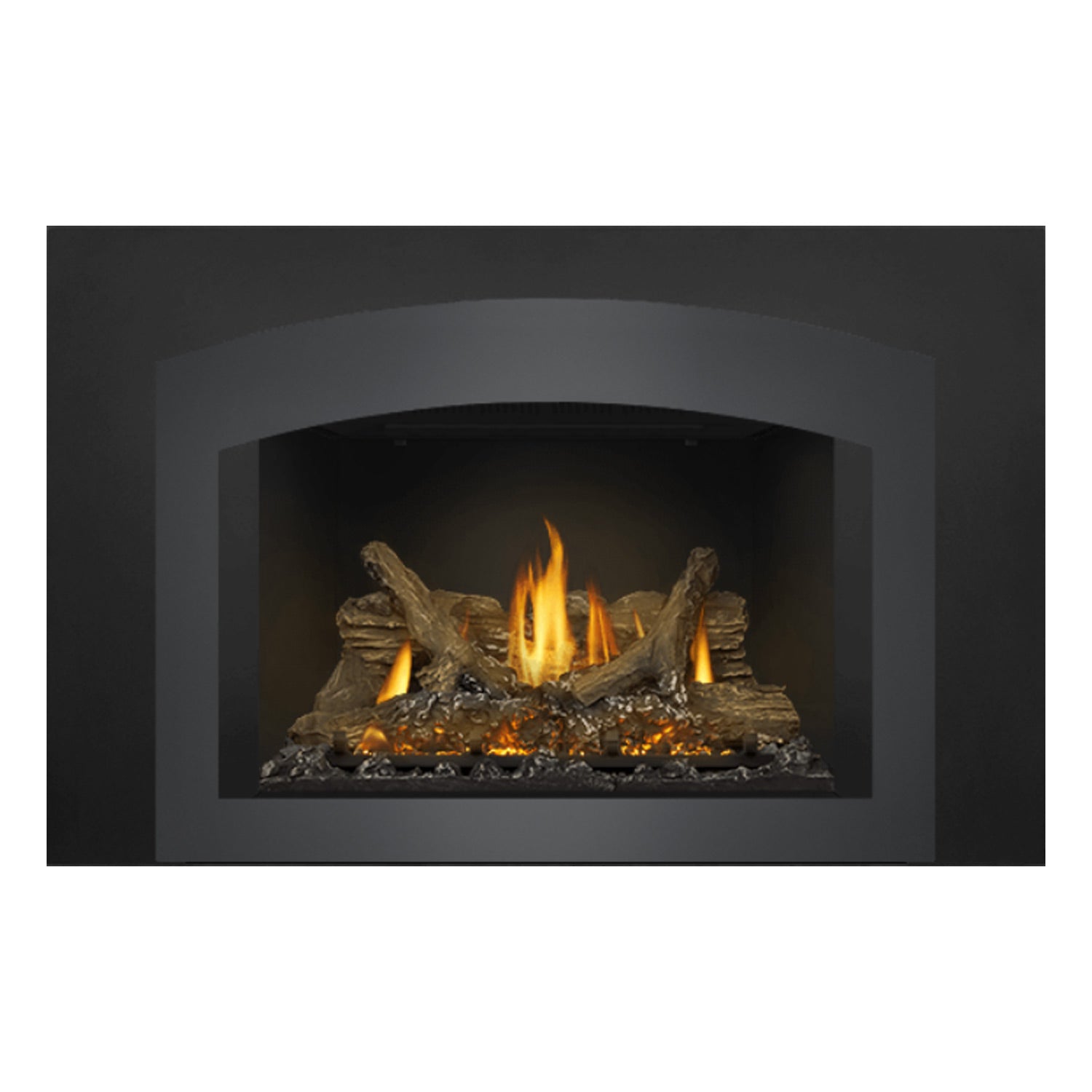 Napoleon Oakville Series EI Direct Vent Gas Fireplace Insert