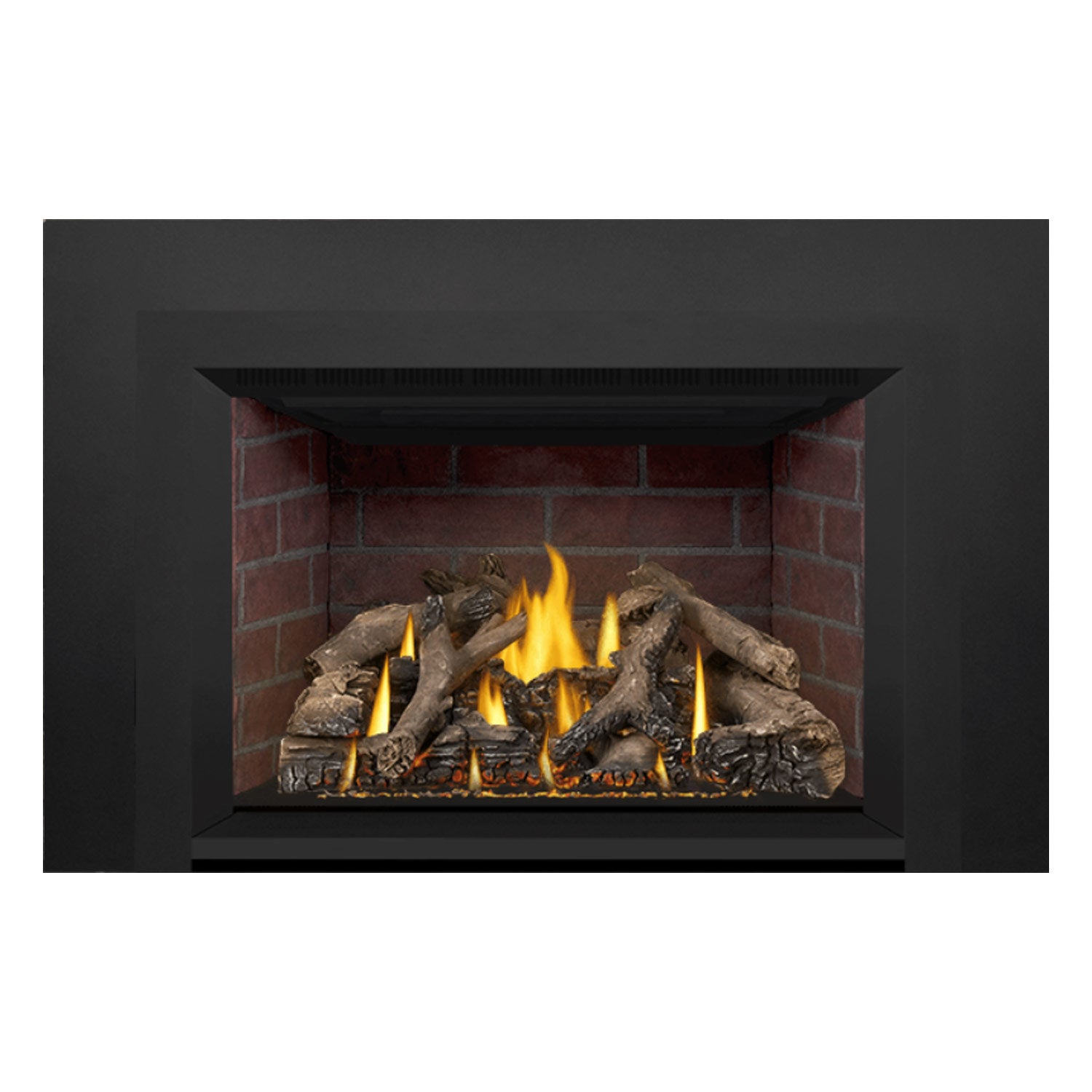Napoleon GDIX4N-1 Oakville Series Electronic Ignition Direct Vent Gas Fireplace Insert