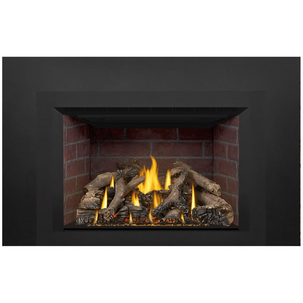 Napoleon GDIX4N-1 Oakville Series Electronic Ignition Direct Vent Gas Fireplace Insert