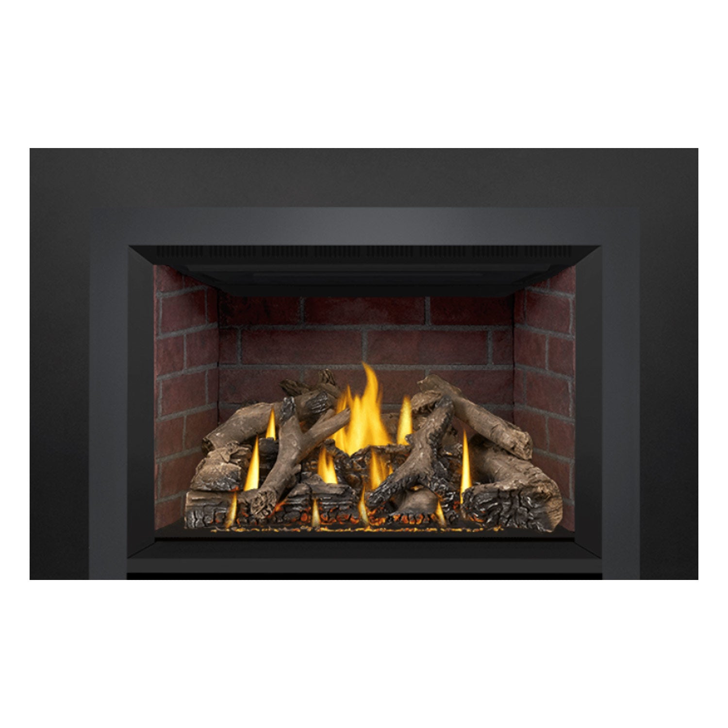Napoleon GDIX4N-1 Oakville Series Electronic Ignition Direct Vent Gas Fireplace Insert