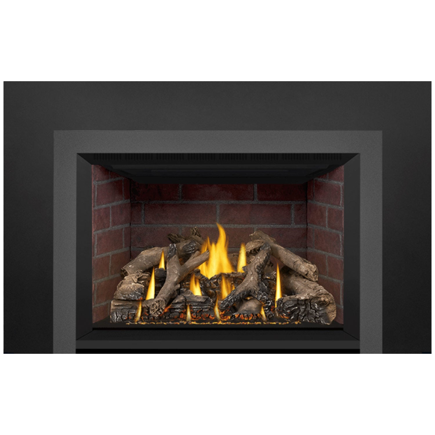 Napoleon GDIX4N-1 Oakville Series Electronic Ignition Direct Vent Gas Fireplace Insert