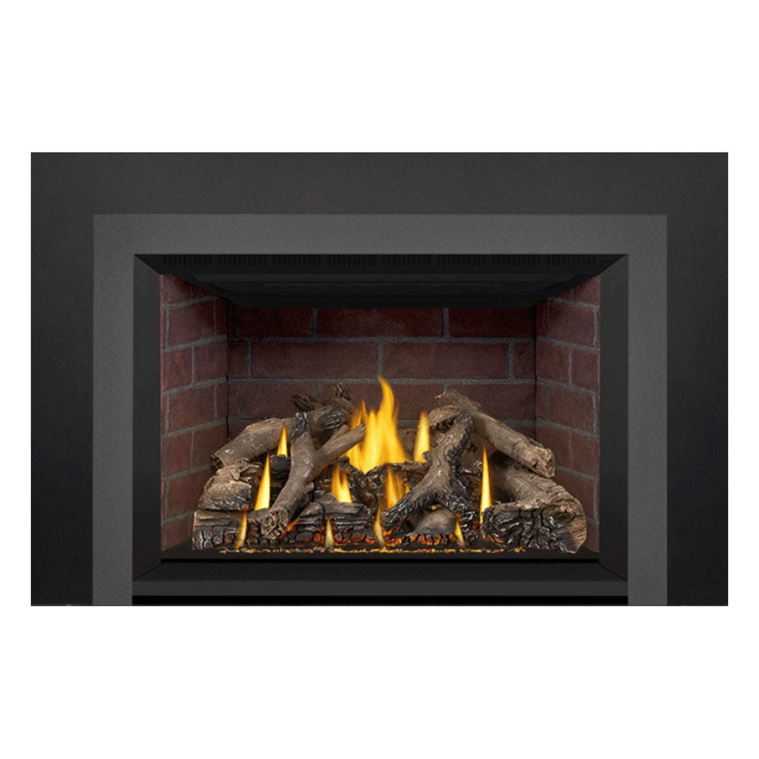 Napoleon GDIX4N-1 Oakville Series Electronic Ignition Direct Vent Gas Fireplace Insert