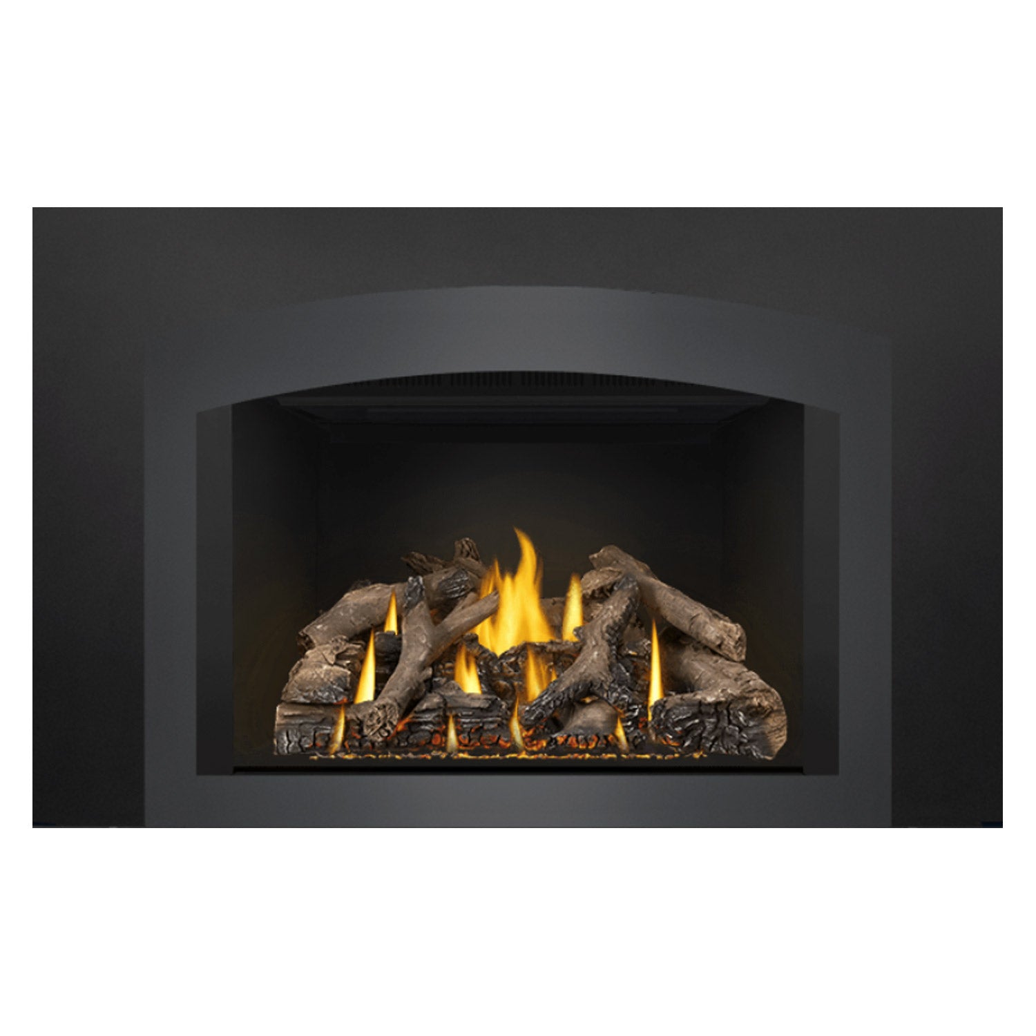 Napoleon GDIX4N-1 Oakville Series Electronic Ignition Direct Vent Gas Fireplace Insert