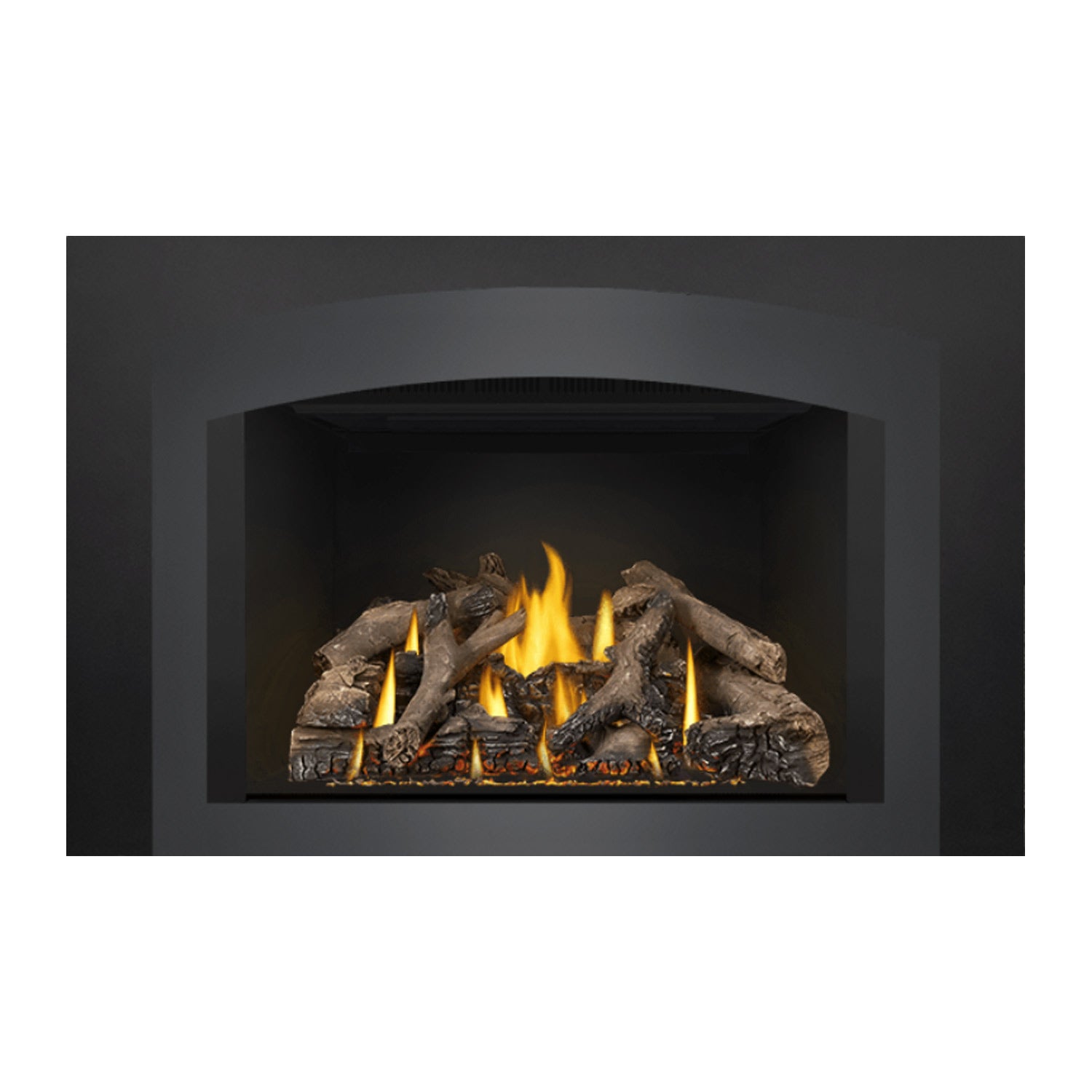 Napoleon GDIX4N-1 Oakville Series Electronic Ignition Direct Vent Gas Fireplace Insert