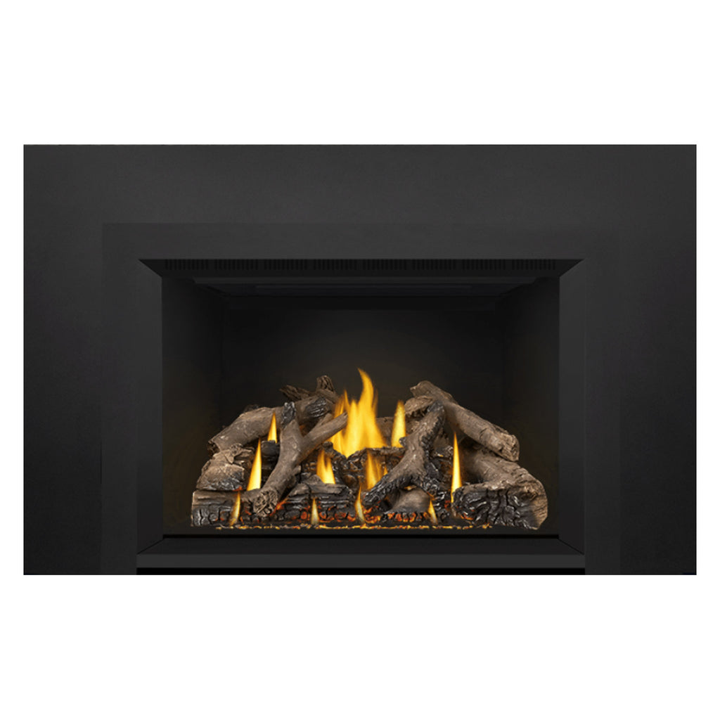 Gas fireplace insert showing burning flames over a gray log set inside a black firebox.