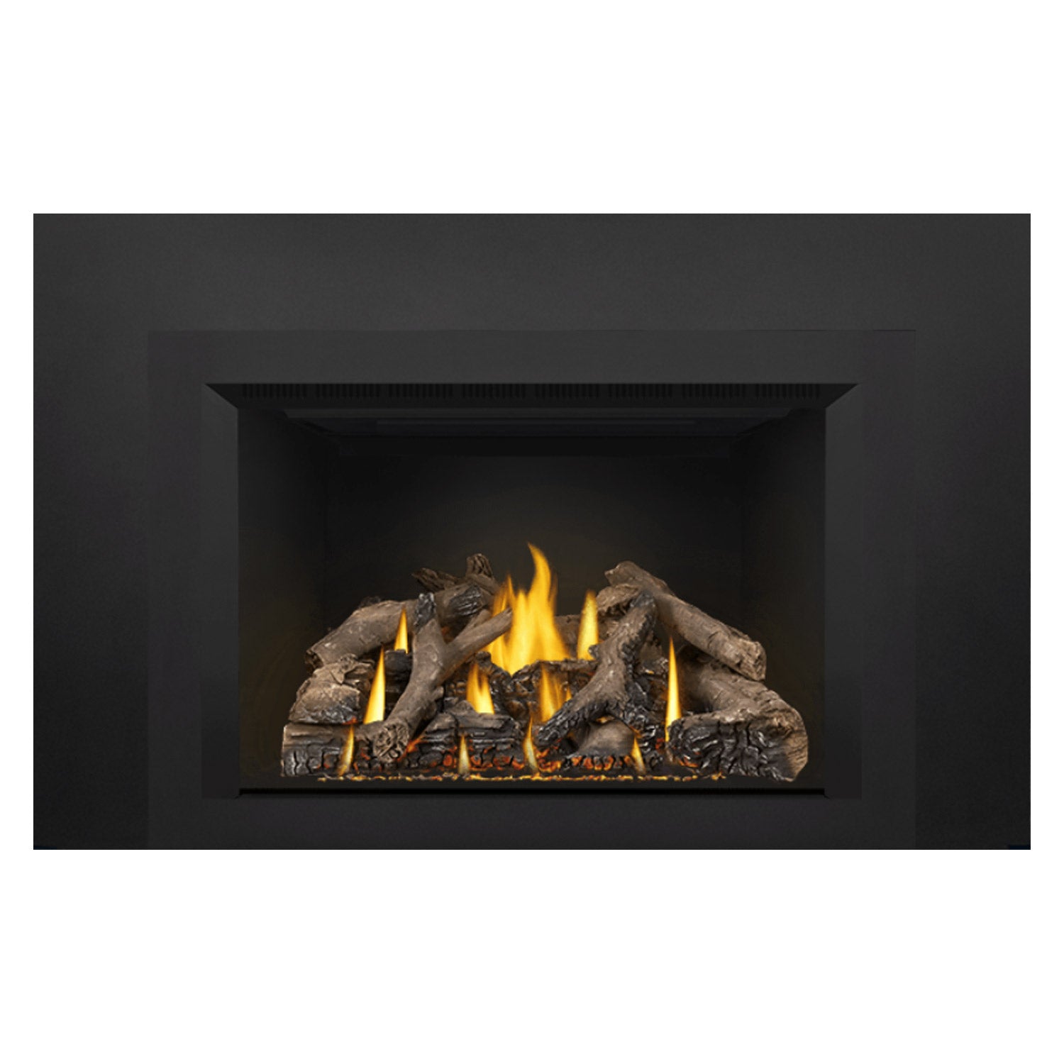Napoleon GDIX4N-1 Oakville Series Electronic Ignition Direct Vent Gas Fireplace Insert
