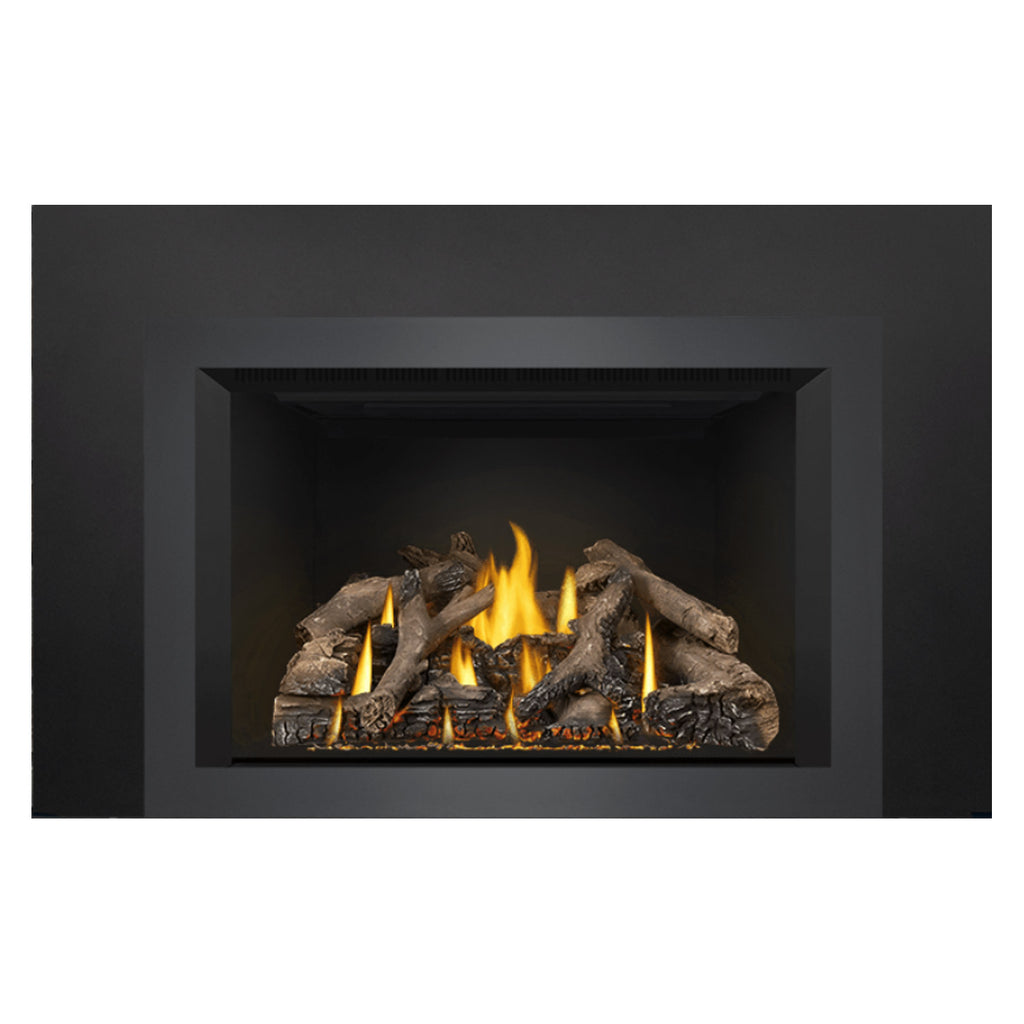 Black fireplace insert with visible flame tips above dark logs