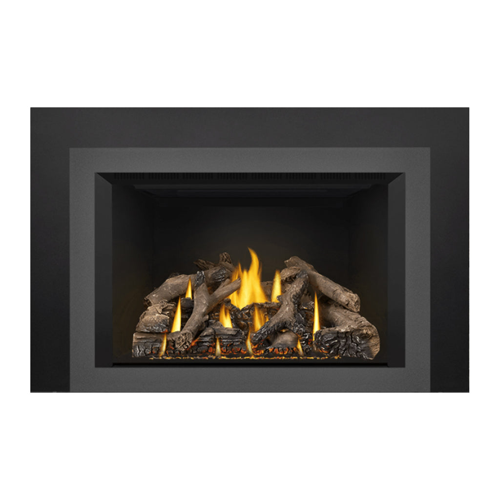 Black fireplace insert front opening with flames over dark, textured logs