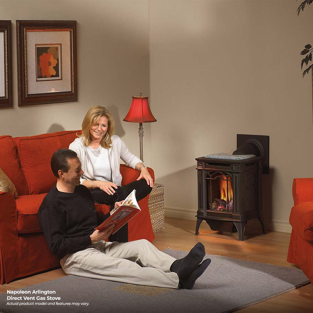 Napoleon Arlington Direct Vent Cast Iron Gas Stove – Fireplaces Direct
