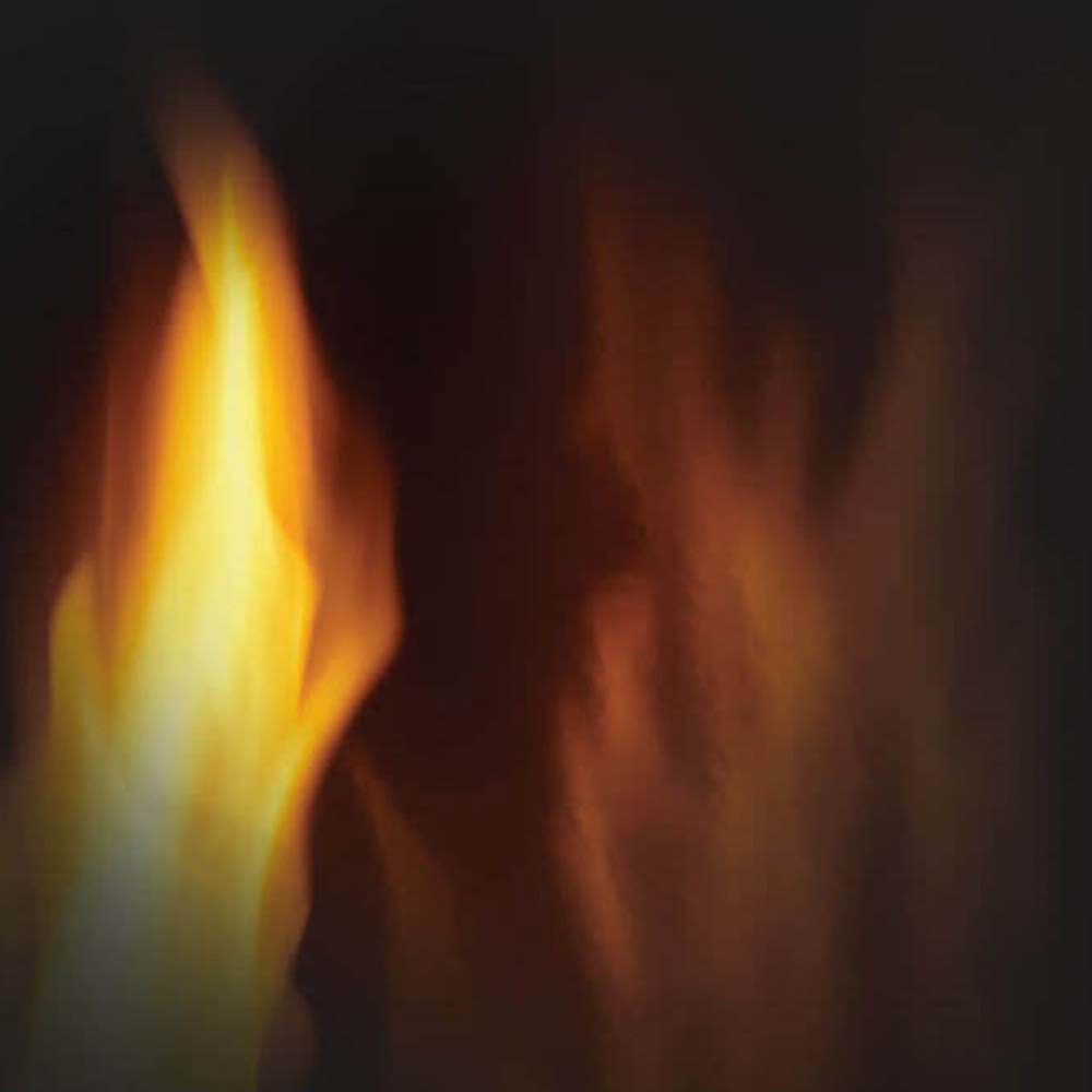 Napoleon GDS20E Arlington Electronic Ignition Direct Vent Cast Iron Stove