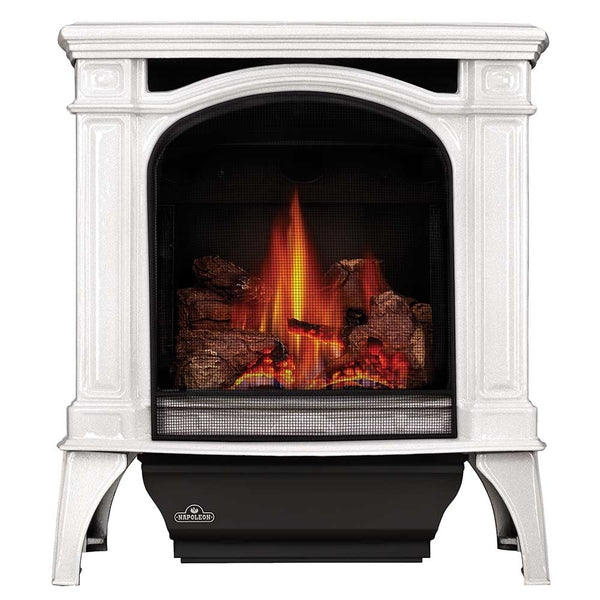 Napoleon GDS25-1 Bayfield Direct Vent Cast Iron Gas Stove