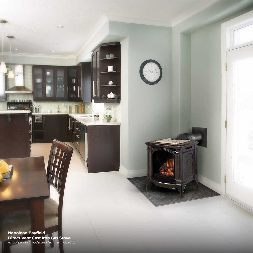 Napoleon GDS25-1 Bayfield Direct Vent Cast Iron Gas Stove