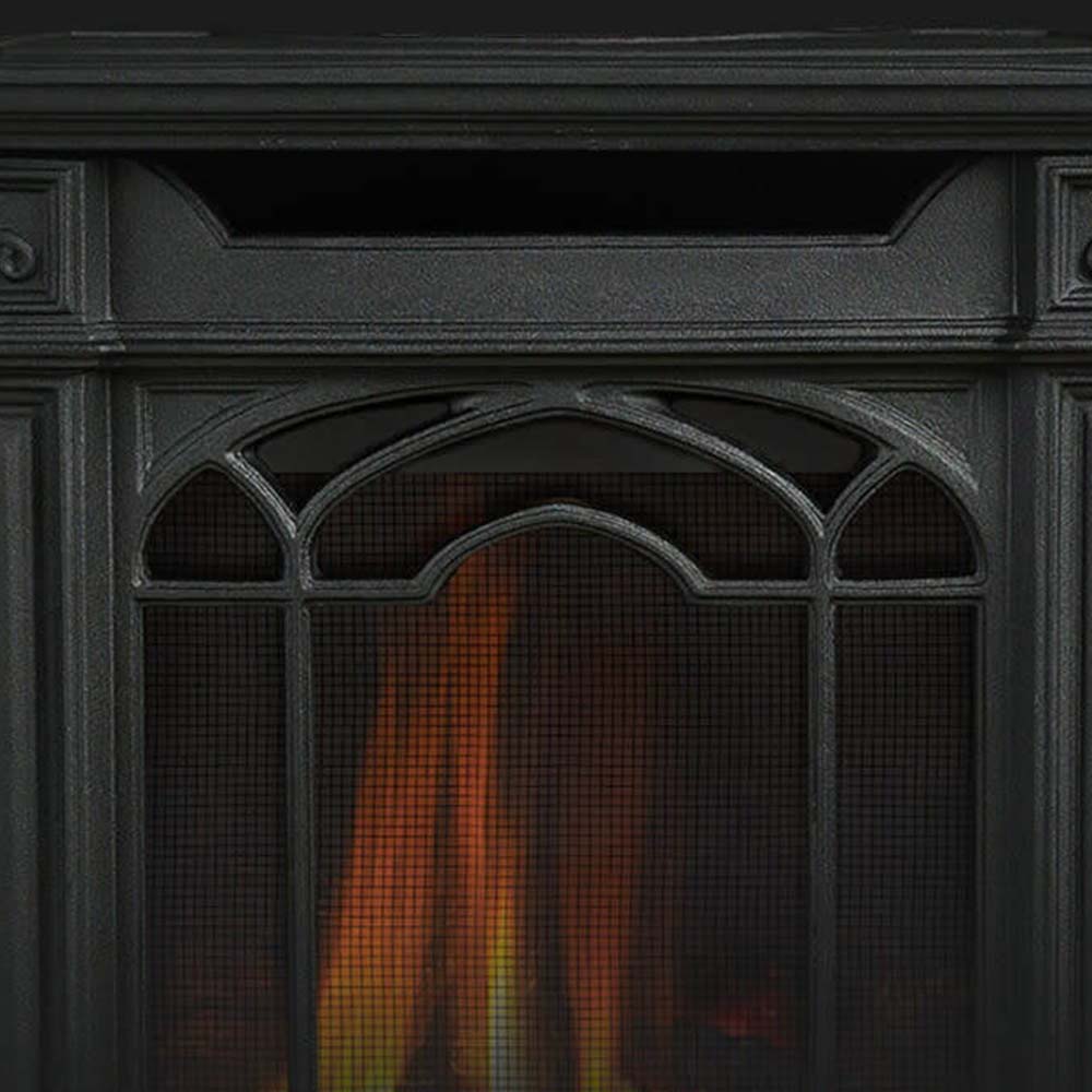 Napoleon GDS25-1 Bayfield Direct Vent Cast Iron Gas Stove