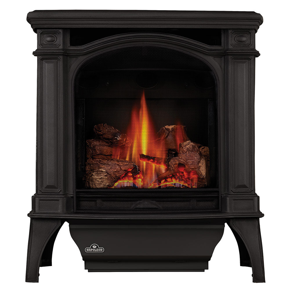 Napoleon Bayfield EI Direct Vent Cast Iron Gas Stove – Fireplaces