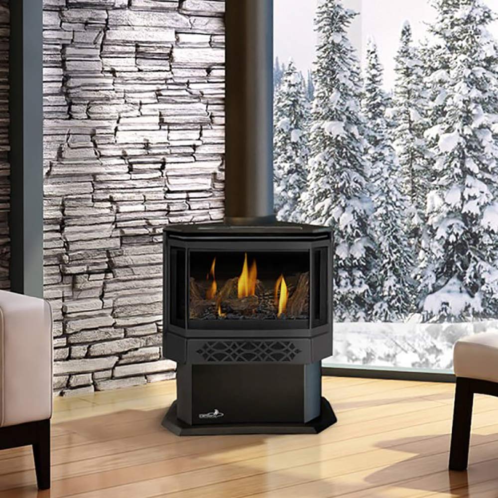 Napoleon GDS28-1NSB Haliburton Millivolt Ignition Direct Vent Gas Stove