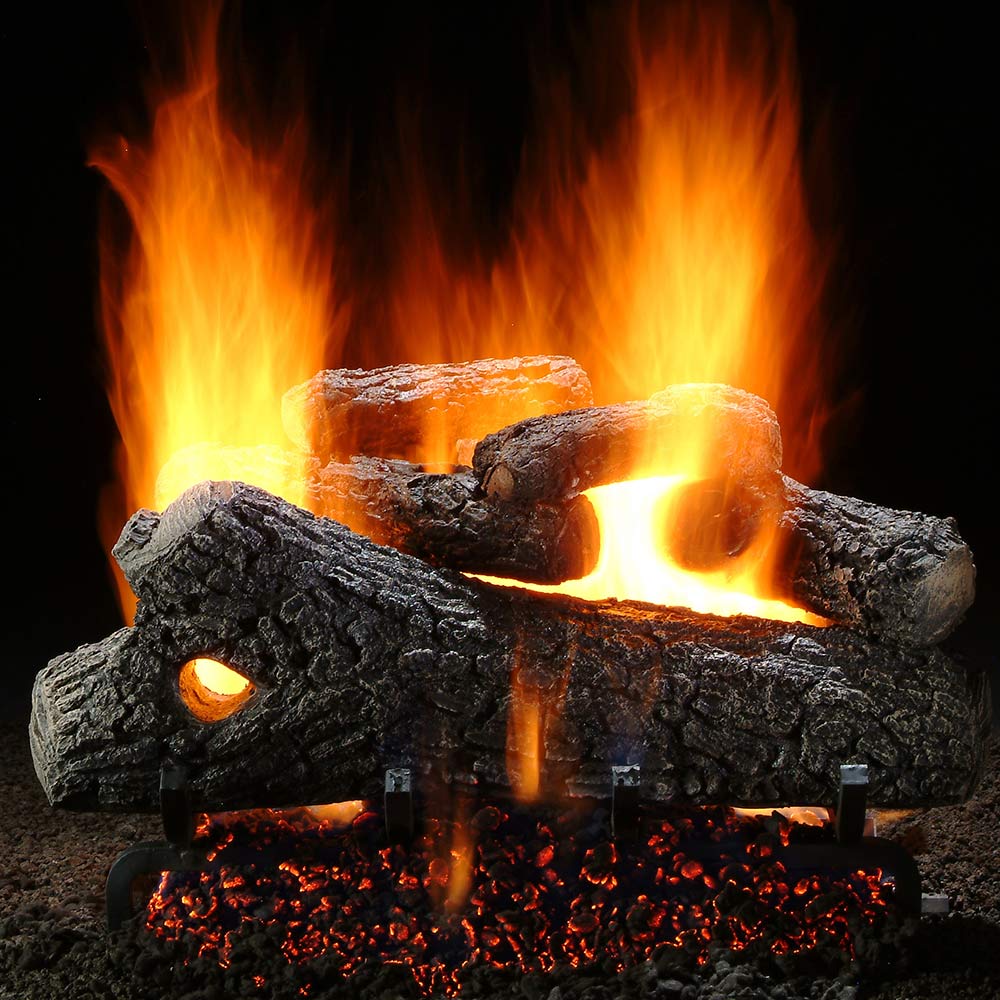 Vented see-through gas log set with burning flames and charred logs