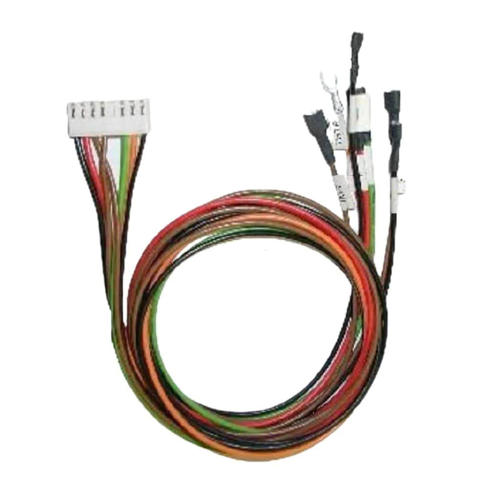 Wiring harness assembly with multi-colored wires and white connector plug