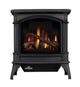 Napoleon Knightsbridge Direct Vent Cast Iron Gas Stove