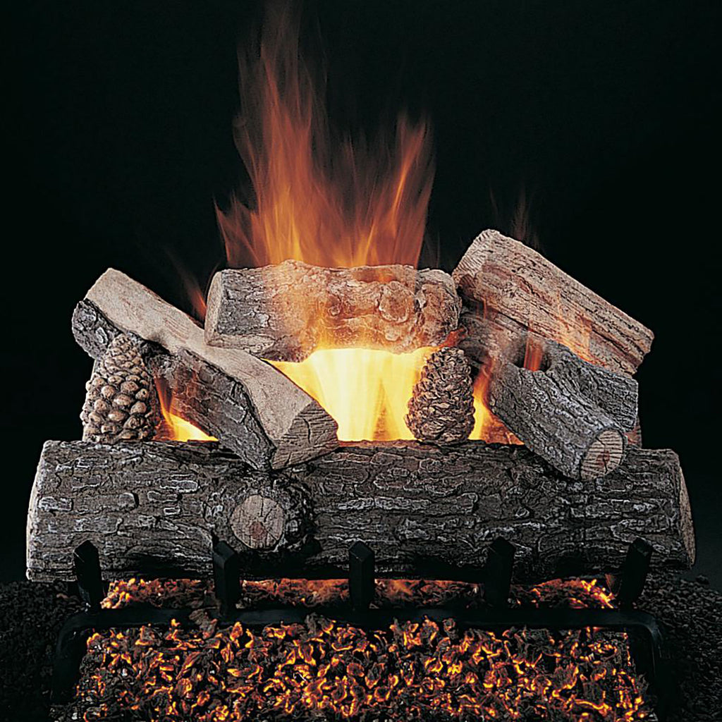 Gas fireplace logs with visible flames and glowing embers