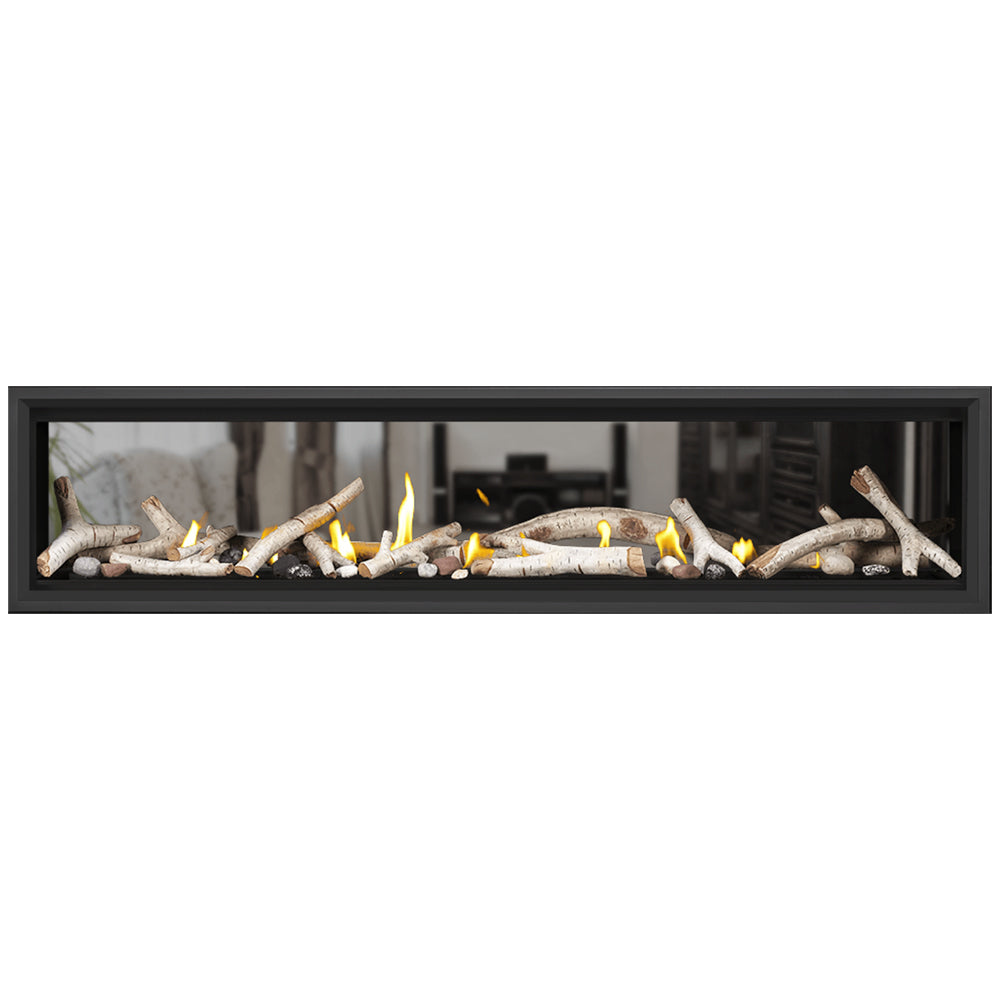 Napoleon Vector Series Double Sided EI 74in DV Gas Fireplace