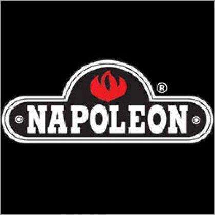 Napoleon wall terminal kit emblem with flame icon