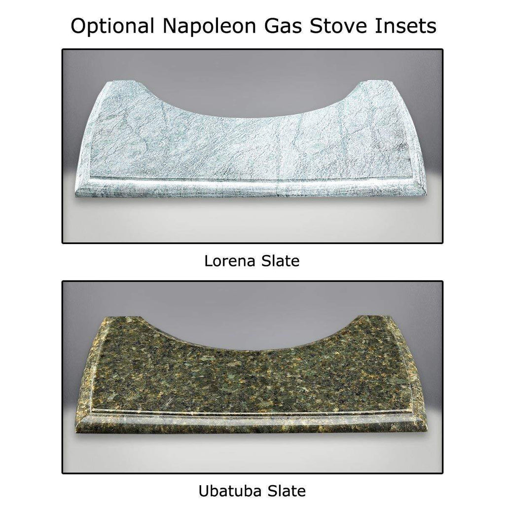 Napoleon GDS25-1 Bayfield Direct Vent Cast Iron Gas Stove