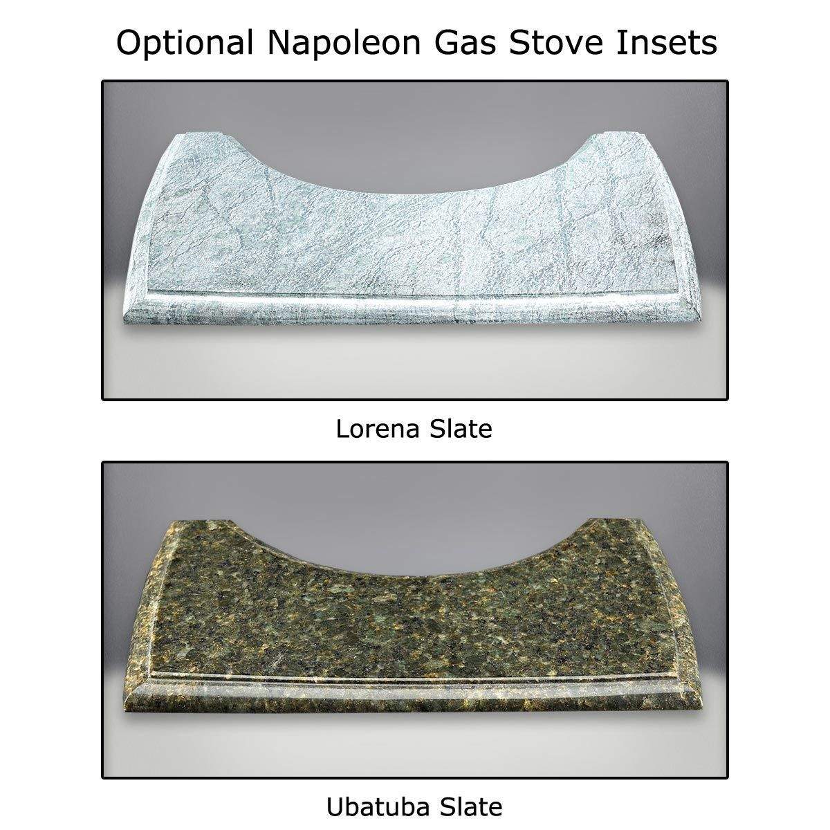 Napoleon GDS25-1 Bayfield Direct Vent Cast Iron Gas Stove
