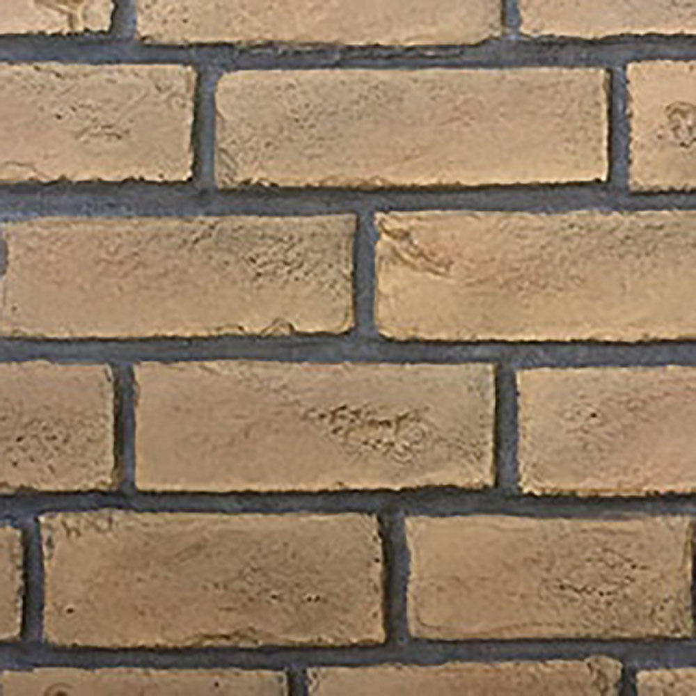 Outdoor Lifestyles Traditional Brick Panels for Fortress Indoor/Outdoor See-Through Gas Fireplace
