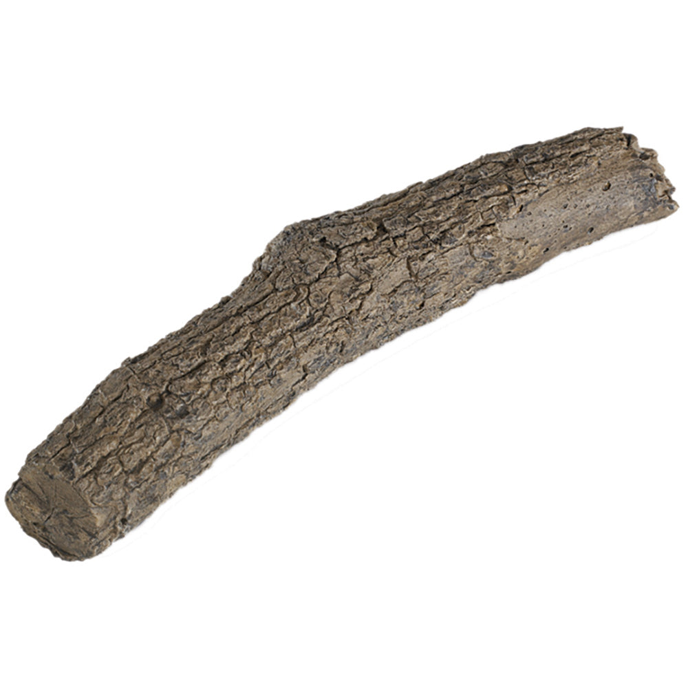 21-inch oak branch decoration with rough bark texture