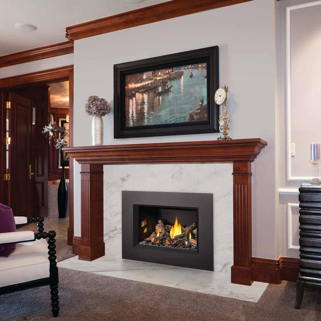 Napoleon GDIX3N-1 Oakville Series Electronic Ignition Direct Vent Gas Fireplace Insert