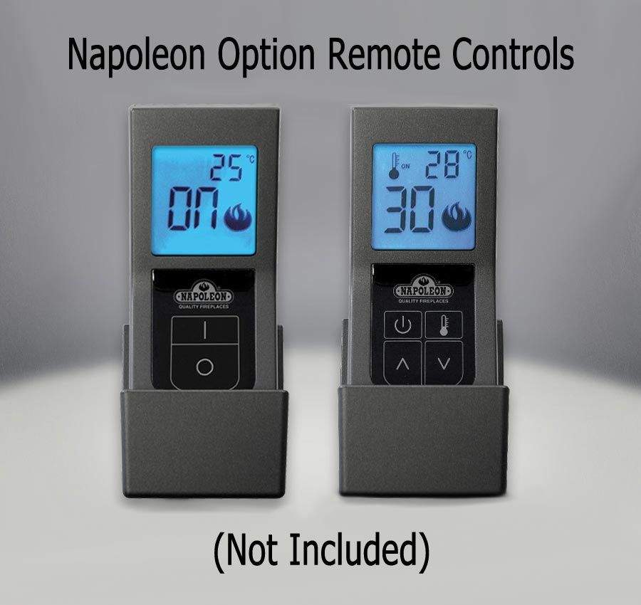 Napoleon GDS25-1 Bayfield Direct Vent Cast Iron Gas Stove